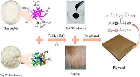  Gum Arabic :  Un Adhésif Naturel pour l’Emballage Durable et les Composites de Haute Performance !