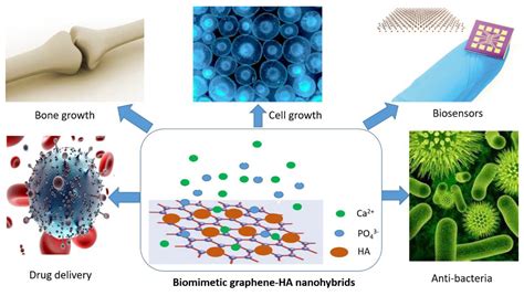  Hydroxyapatite: Les Os du Futur en Biomatériaux ? !