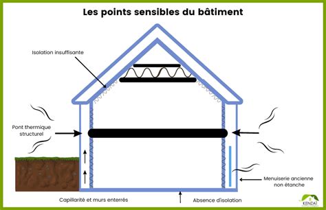  Diatomite: Un Nanopoussier Magique pour la Filtration et l'Isolation Thermique?