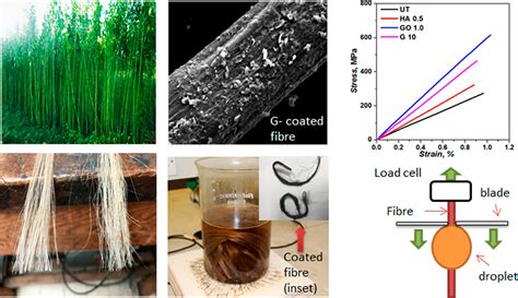  Jute Nanofibers : Révélation Durable pour les Composites à Haute Performance !