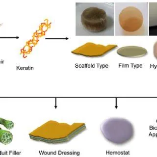  Keratin: Un Polymère Naturel Révolutionnaire pour l’Industrie Biomédicale !