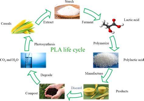 Polylactic Acid: Un Polymer Biodégradable pour un Futur Durable ? !