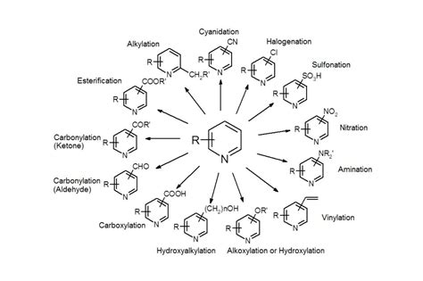 Quinaldine: Un Régulateur Intriguant pour les Synthése Organiques Complexe ?